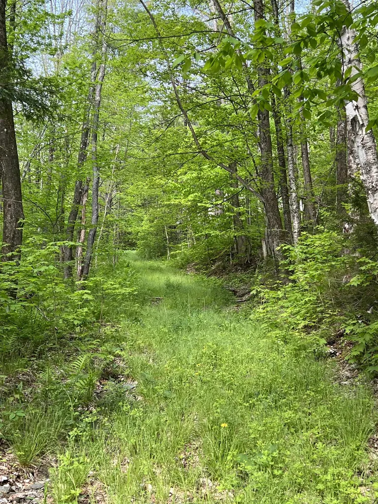 649 Us Route 4 Bridgewater VT 05034