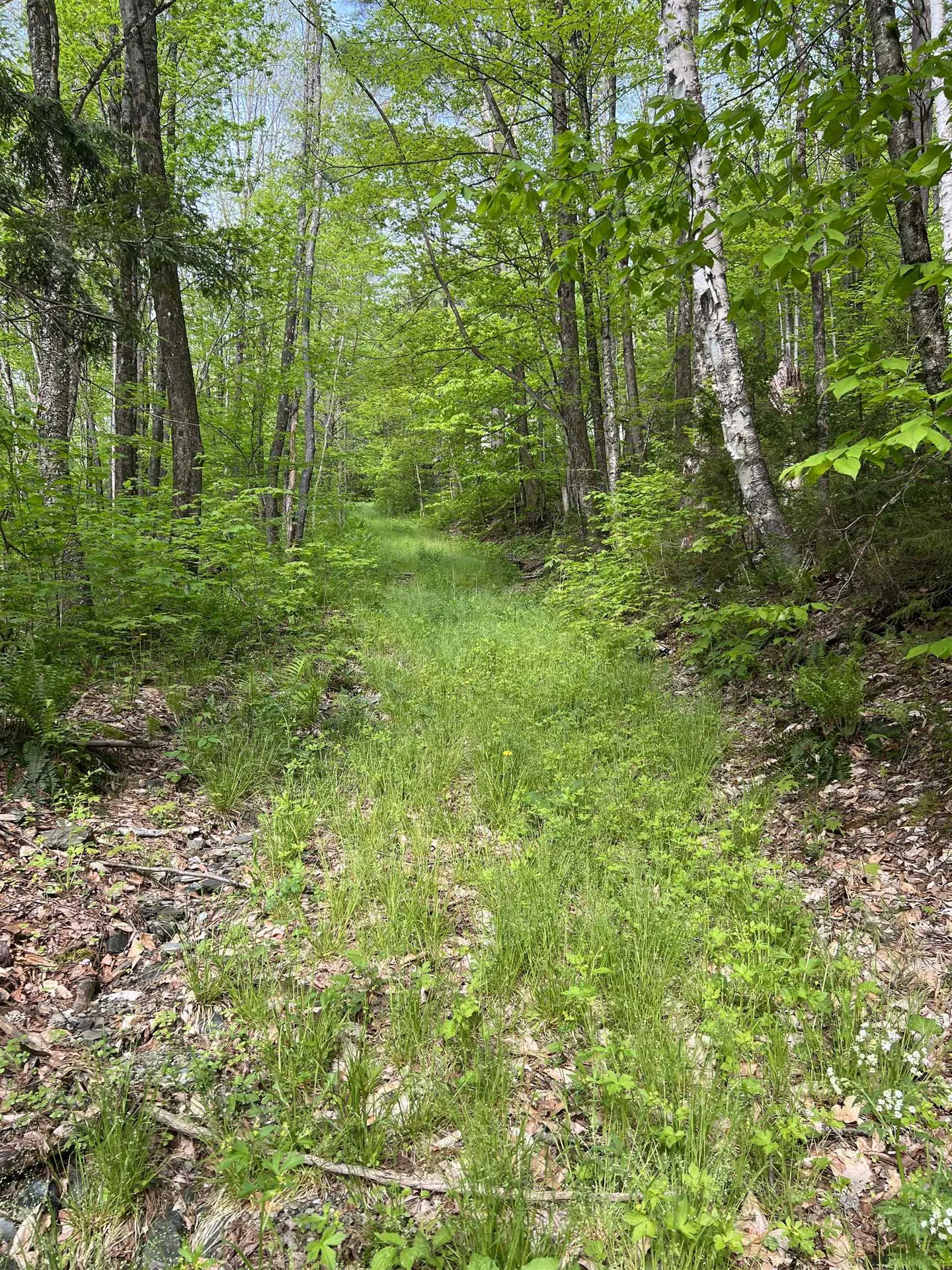 649 Us Route 4 Bridgewater VT 05034