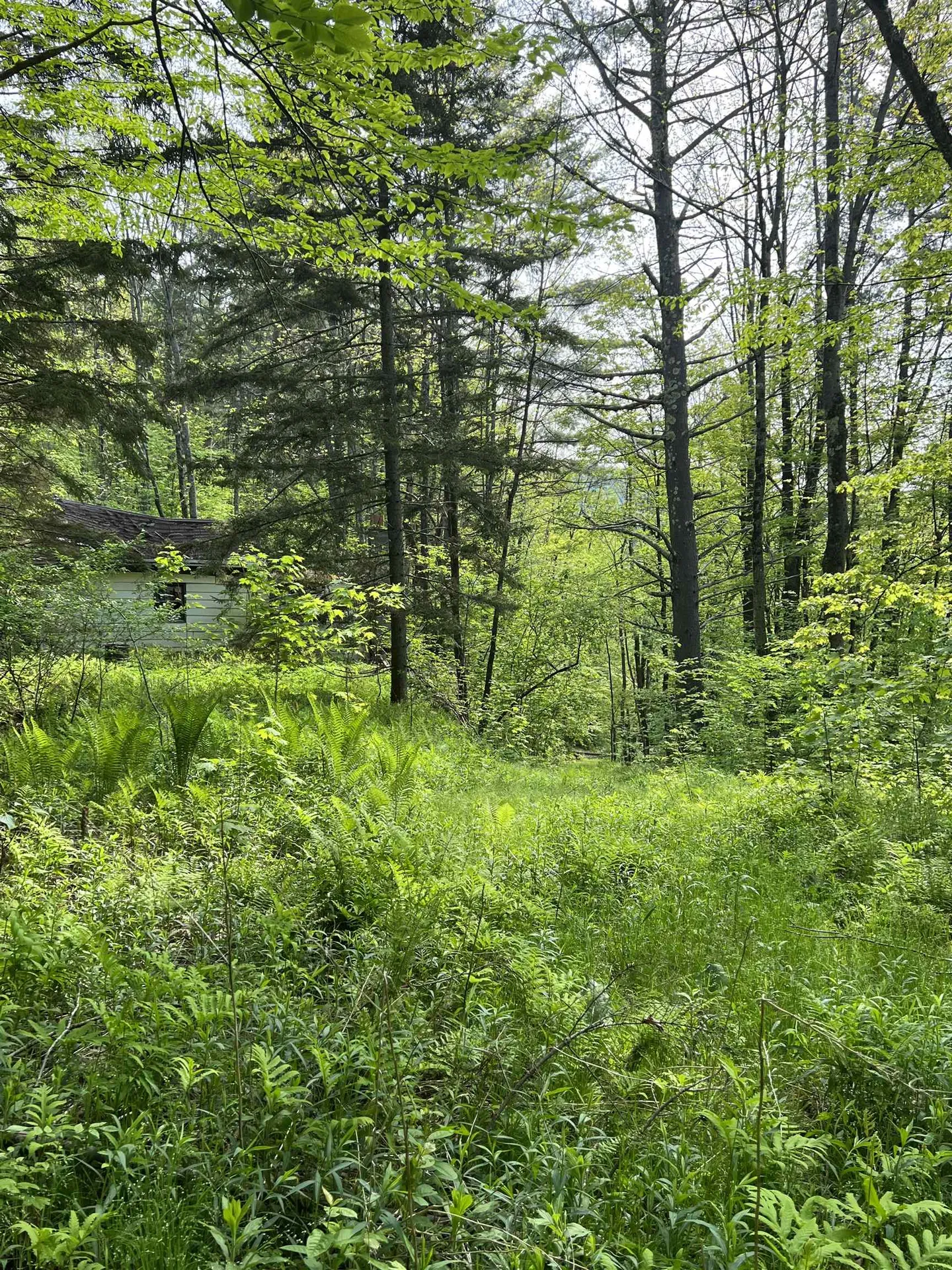 649 Us Route 4 Bridgewater VT 05034