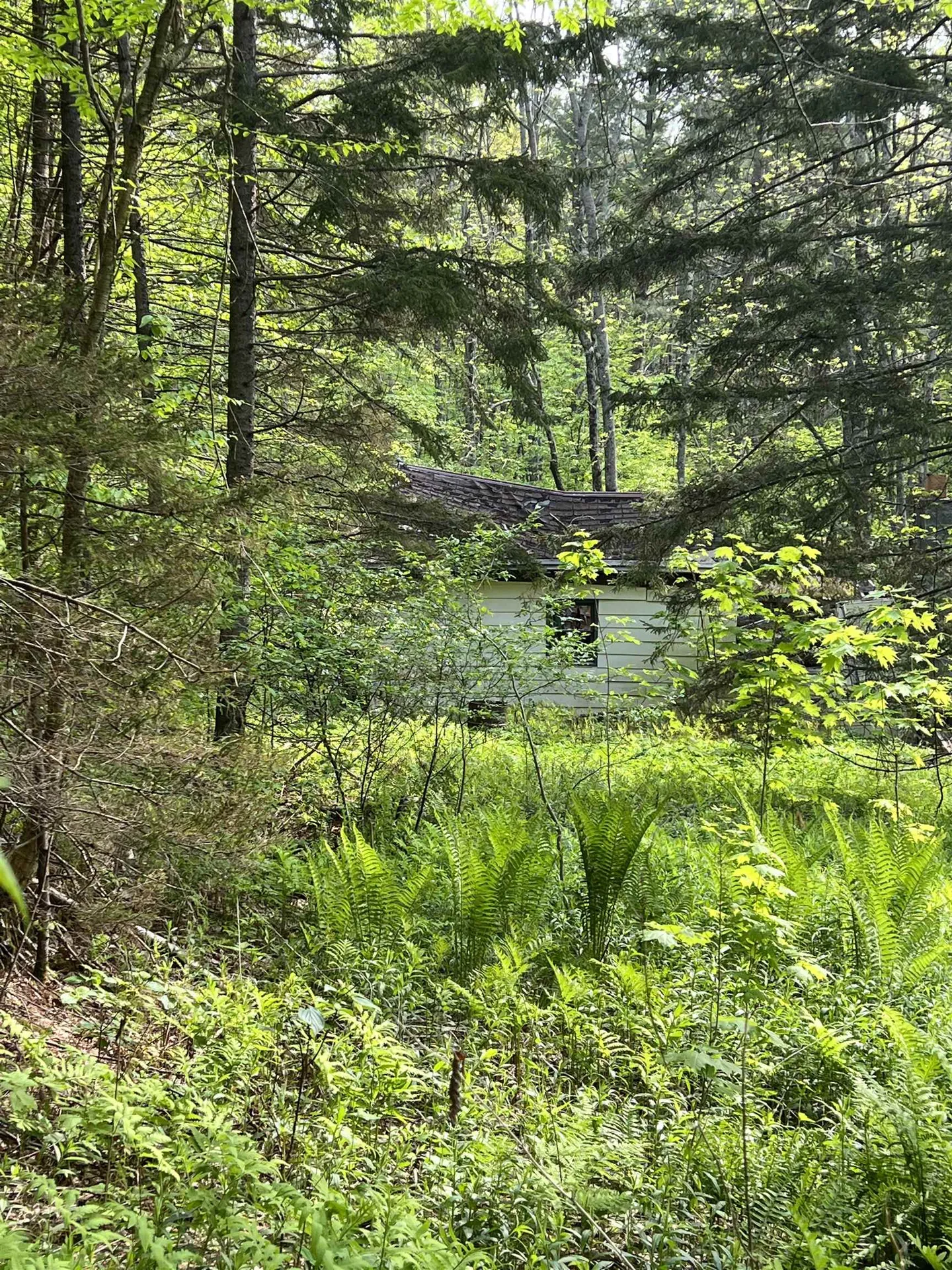 649 Us Route 4 Bridgewater VT 05034