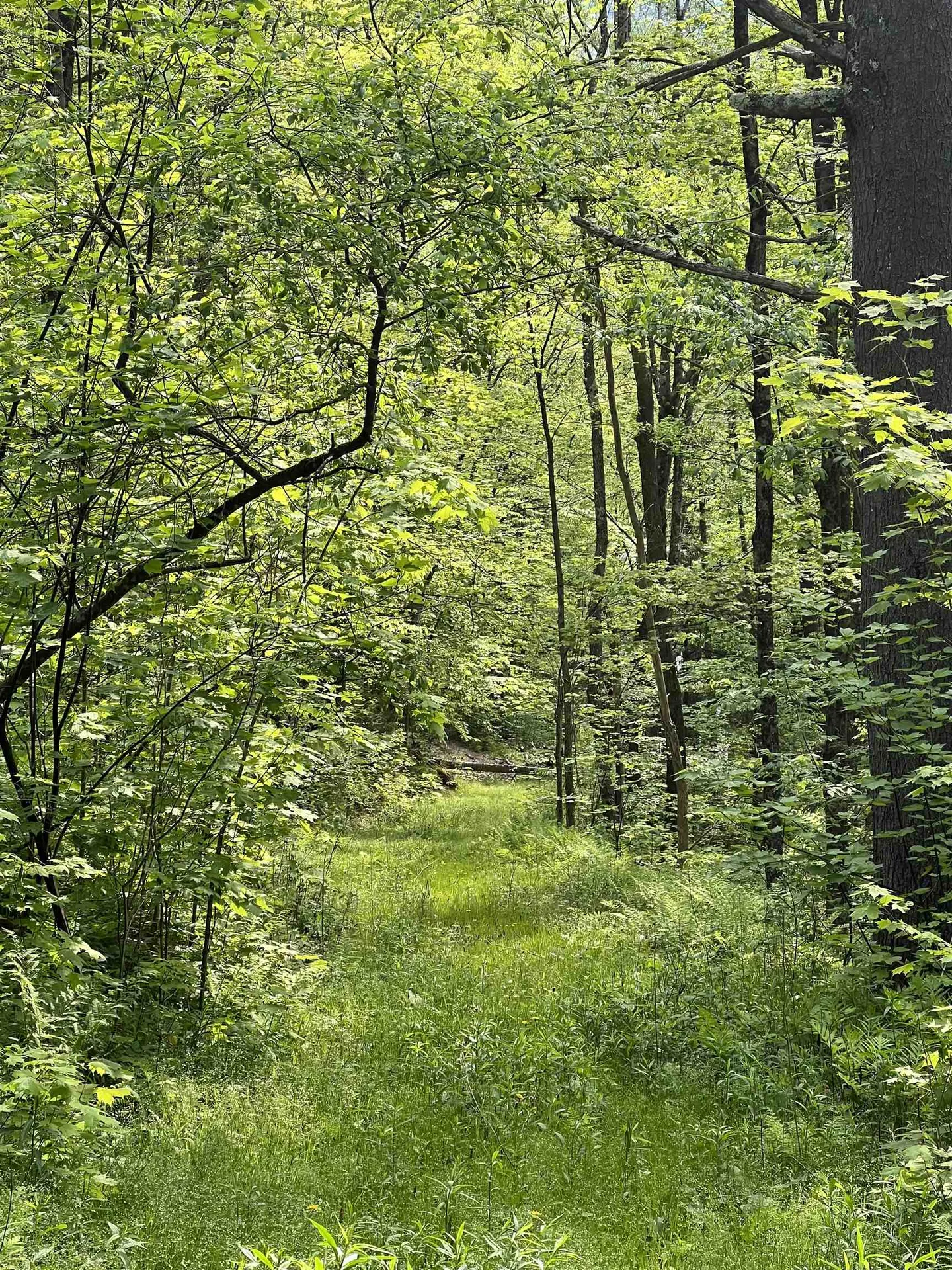 649 Us Route 4 Bridgewater VT 05034
