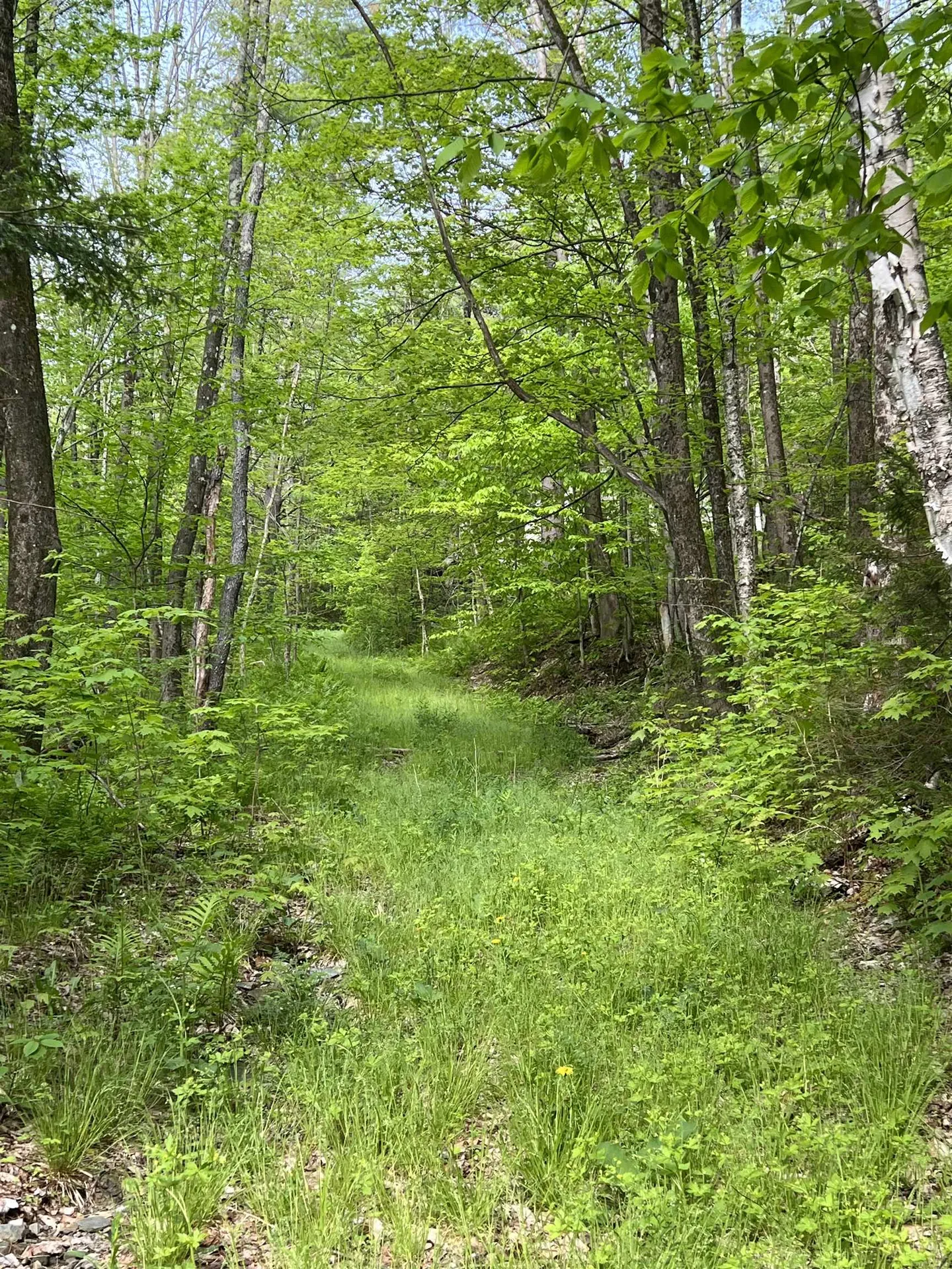 649 Us Route 4 Bridgewater VT 05034