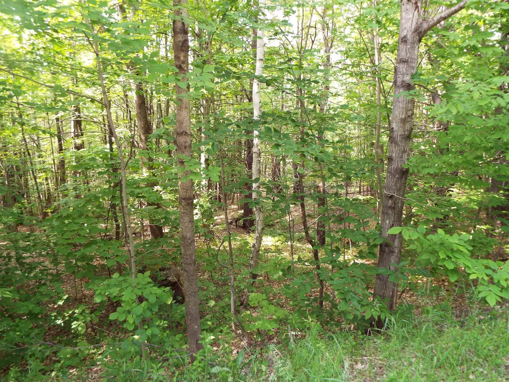 0 Safford Road Hartford VT 05059