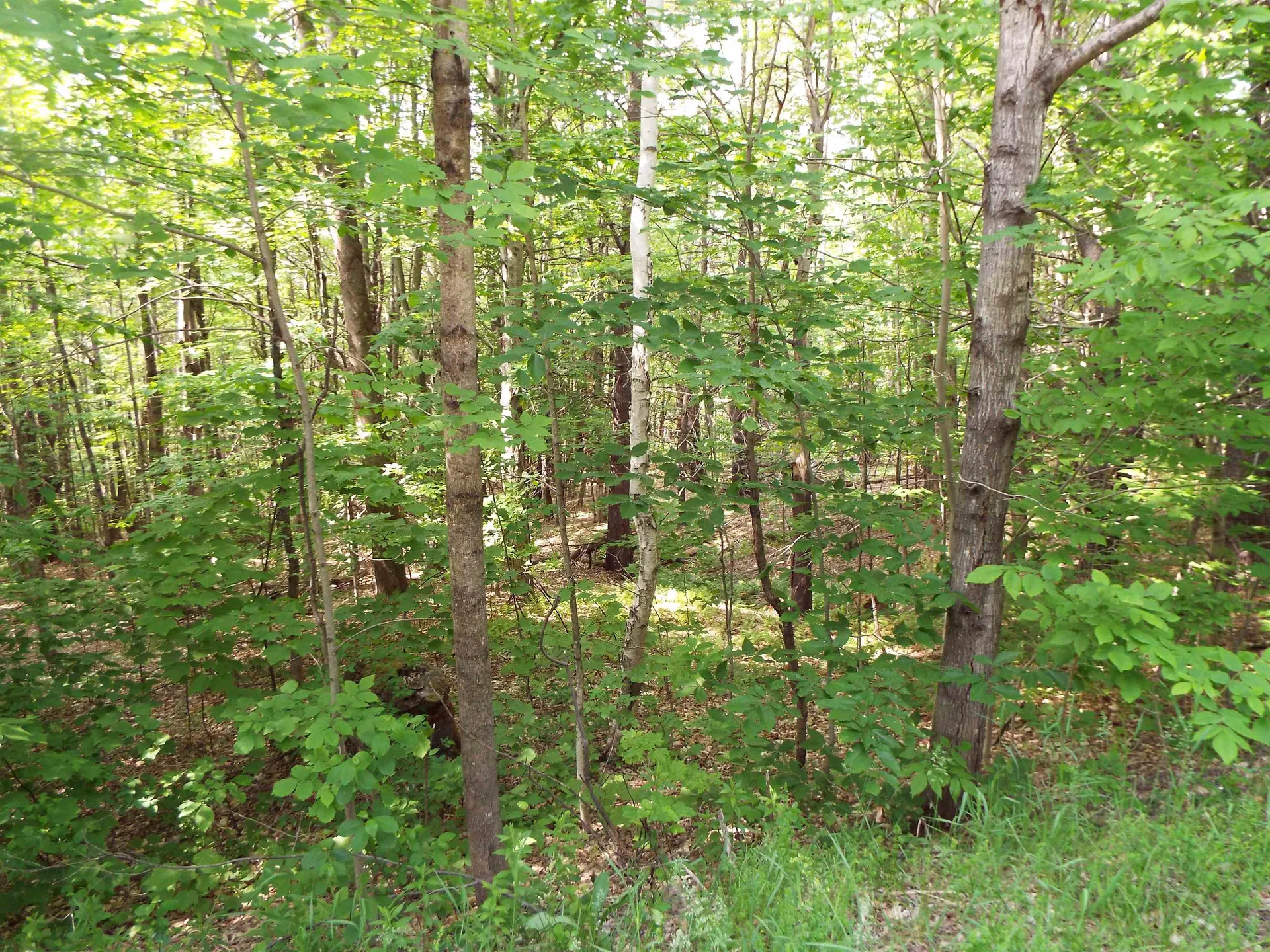 0 Safford Road Hartford VT 05059