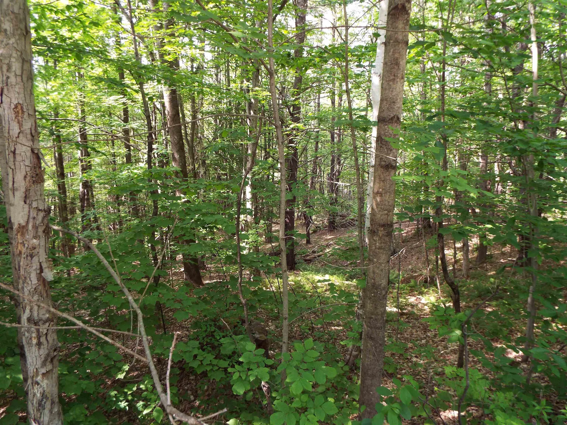 0 Safford Road Hartford VT 05059