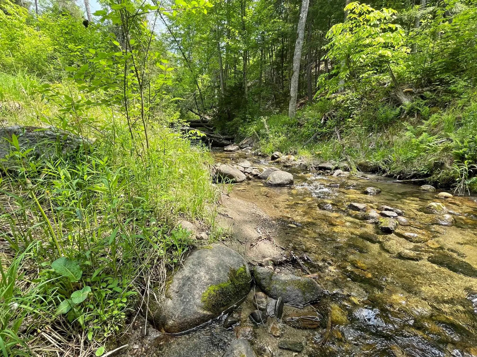 00 Flanders Brook Road Bradford VT 05033