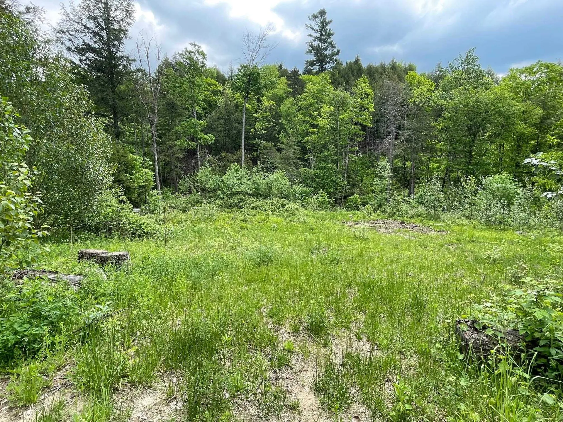 00 Flanders Brook Road Bradford VT 05033
