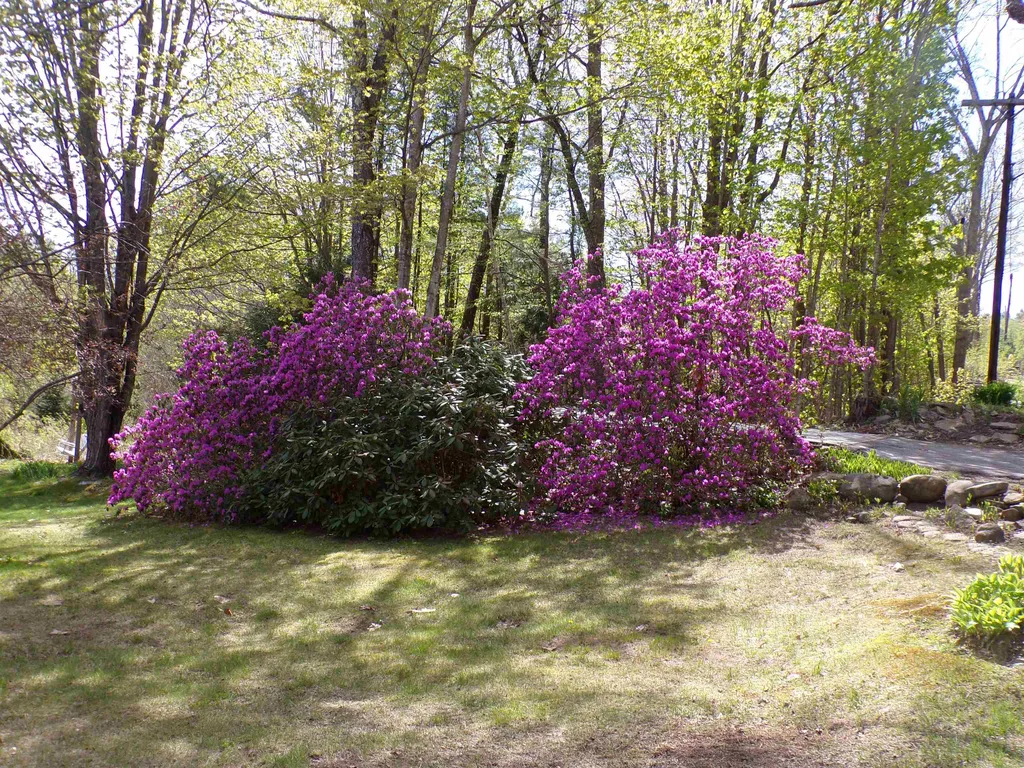 354 Shaker Road Northfield NH 03276