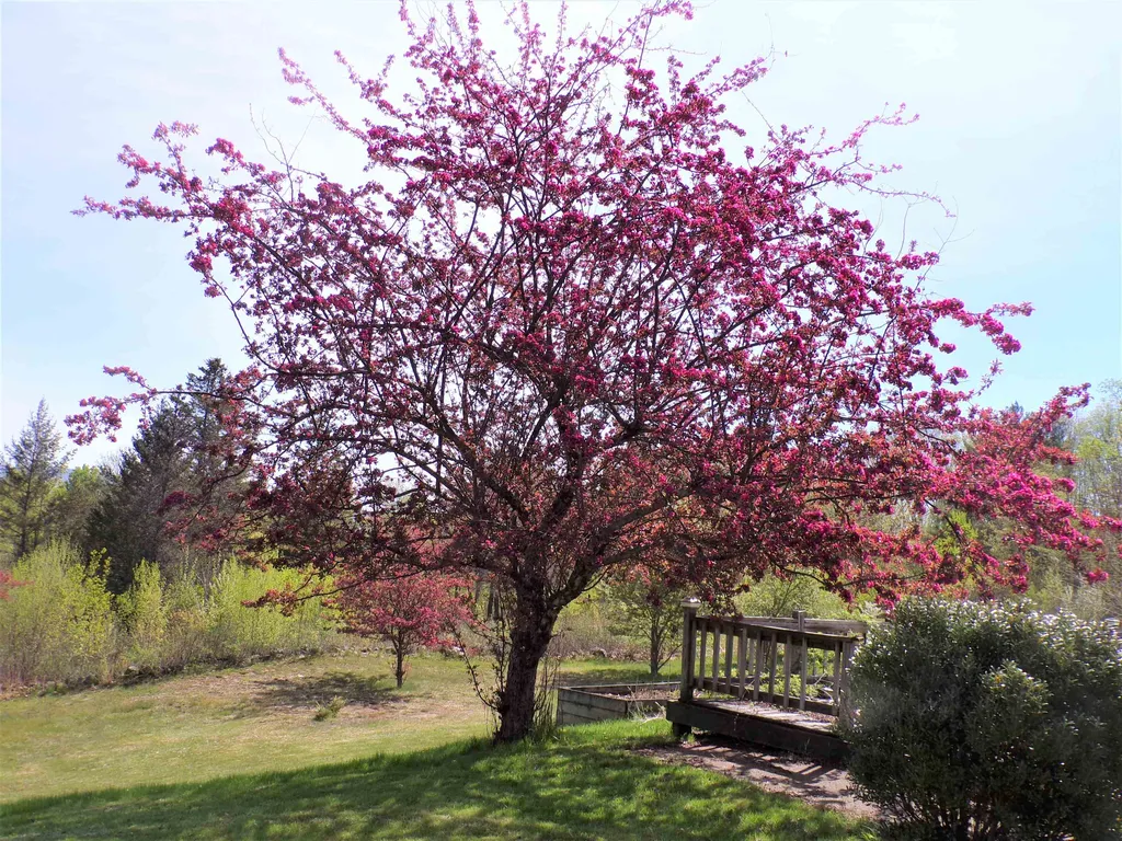 354 Shaker Road Northfield NH 03276