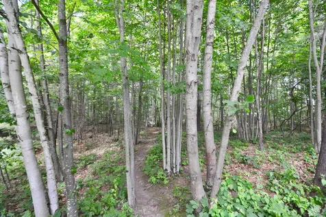 72 Long Hill Road Hollis NH 03049