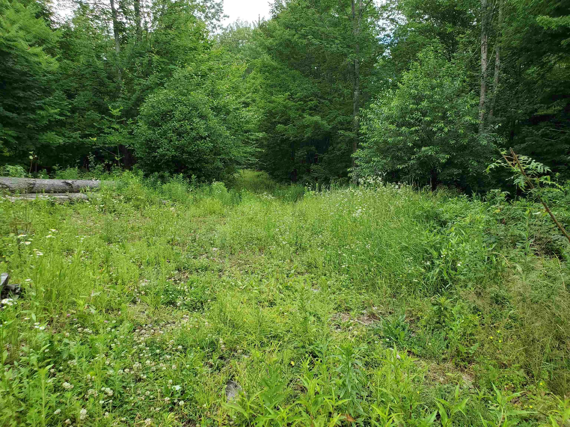 49 Whitcher Road Newport NH 03773