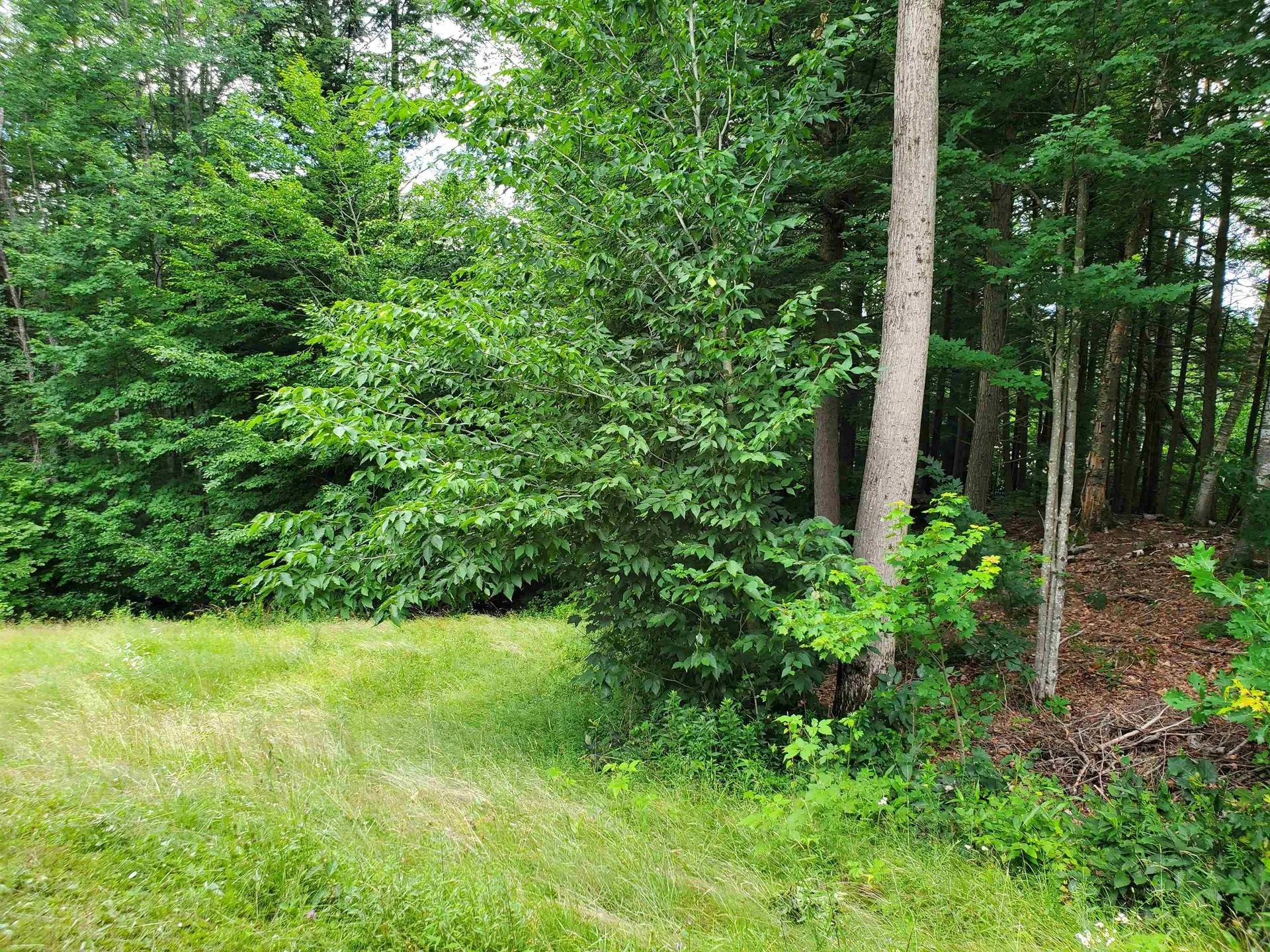 49 Whitcher Road Newport NH 03773