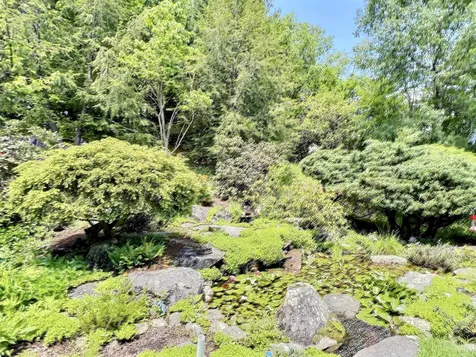 51 Carter Road New London NH 03257