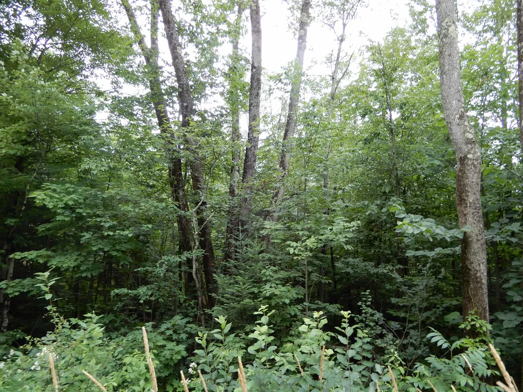 0 Goose Pond Road Canaan NH 03741