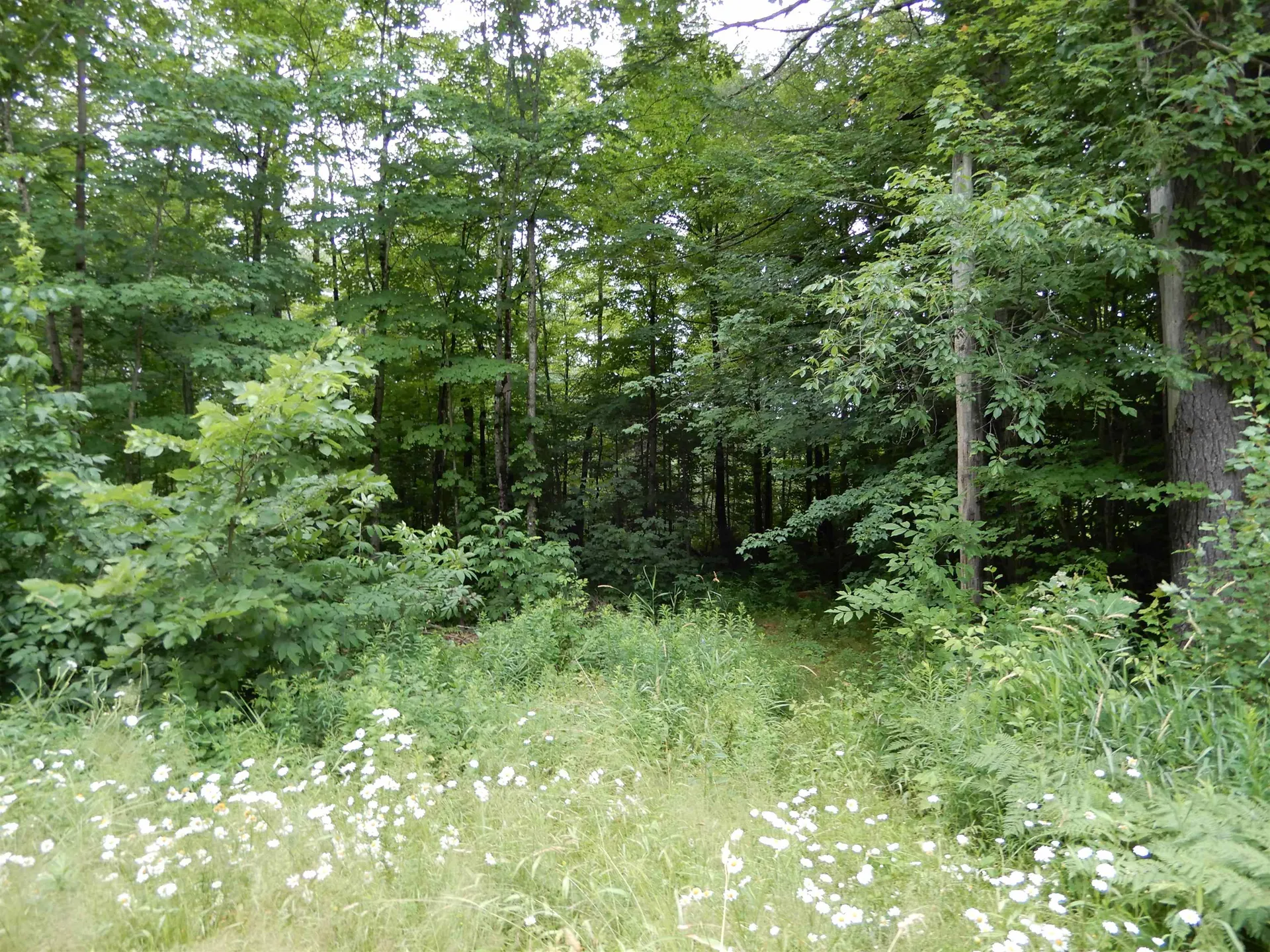 0 Goose Pond Road Canaan NH 03741