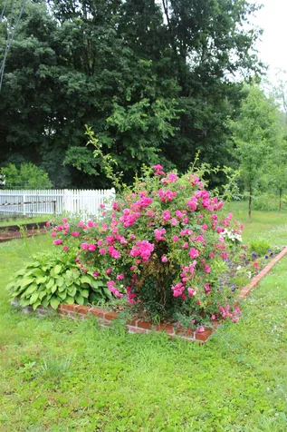 20 Mary Street Springfield VT 05156