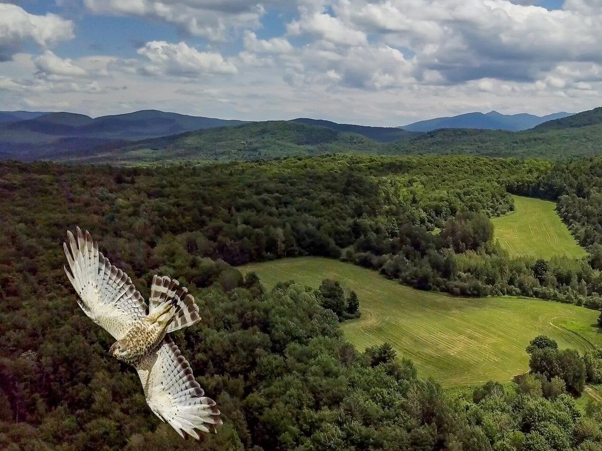 0 Ridge Road S Fairfield VT 05455
