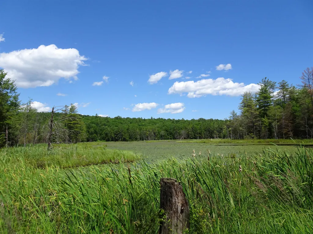 124 Hatch Corner Road Meredith NH 03253