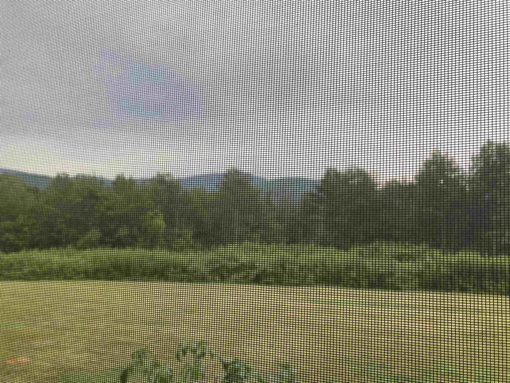 708 Butternut Hill Road Wells VT 05774