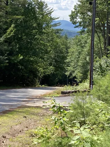 21 Trivett Lane Holderness NH 03245