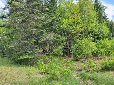 Lot 43g Enman Drive Jefferson NH 03583