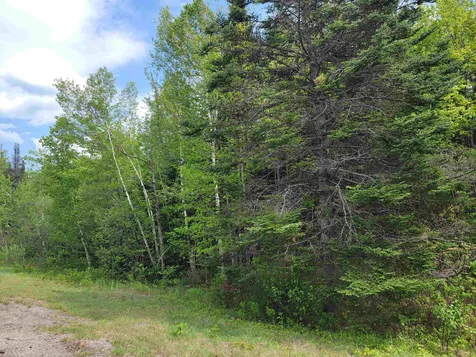 Lot 43g Enman Drive Jefferson NH 03583