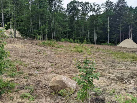 22 Emily Lane Danville NH 03819