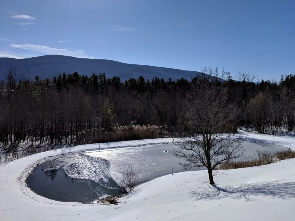 212 Ormsby Hill Road Manchester VT 05254