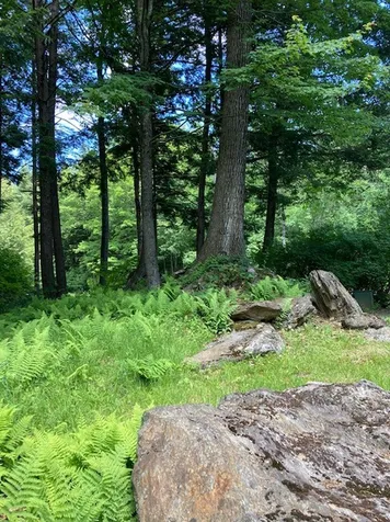 1350 Green River Road Guilford VT 05301