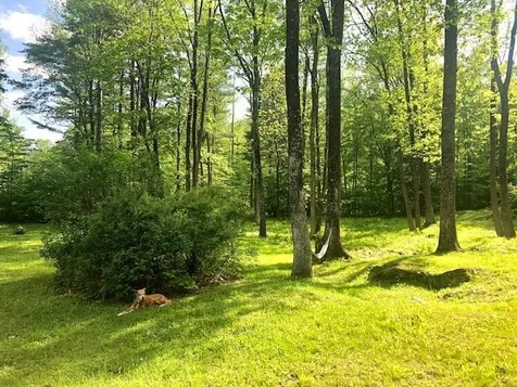 1350 Green River Road Guilford VT 05301