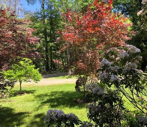 1350 Green River Road Guilford VT 05301