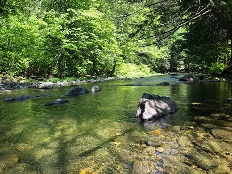 1350 Green River Road Guilford VT 05301