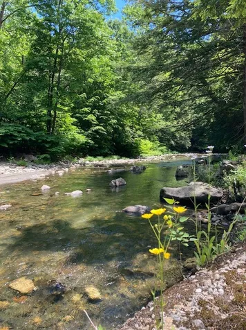 1350 Green River Road Guilford VT 05301