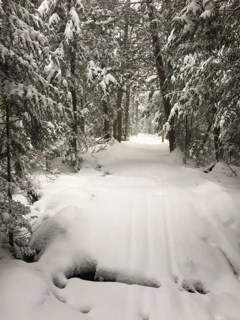 1796 Craftsbury Road Greensboro VT 05841