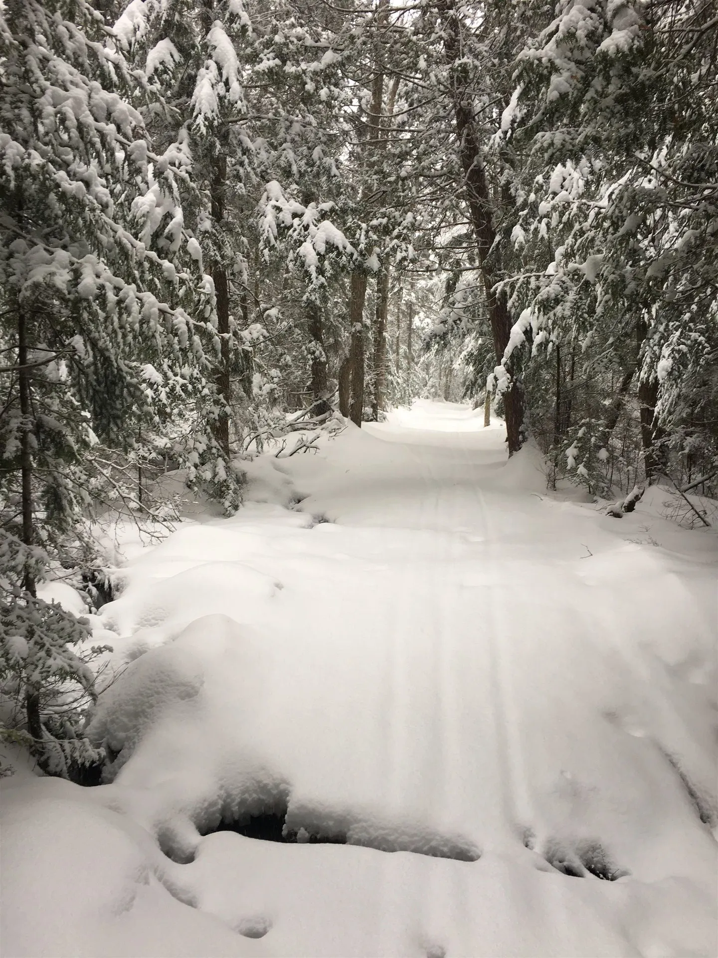 1796 Craftsbury Road Greensboro VT 05841