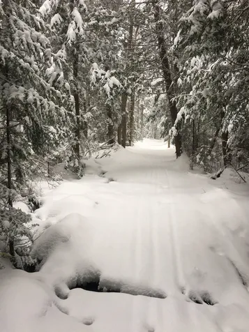 1796 Craftsbury Road Greensboro VT 05841