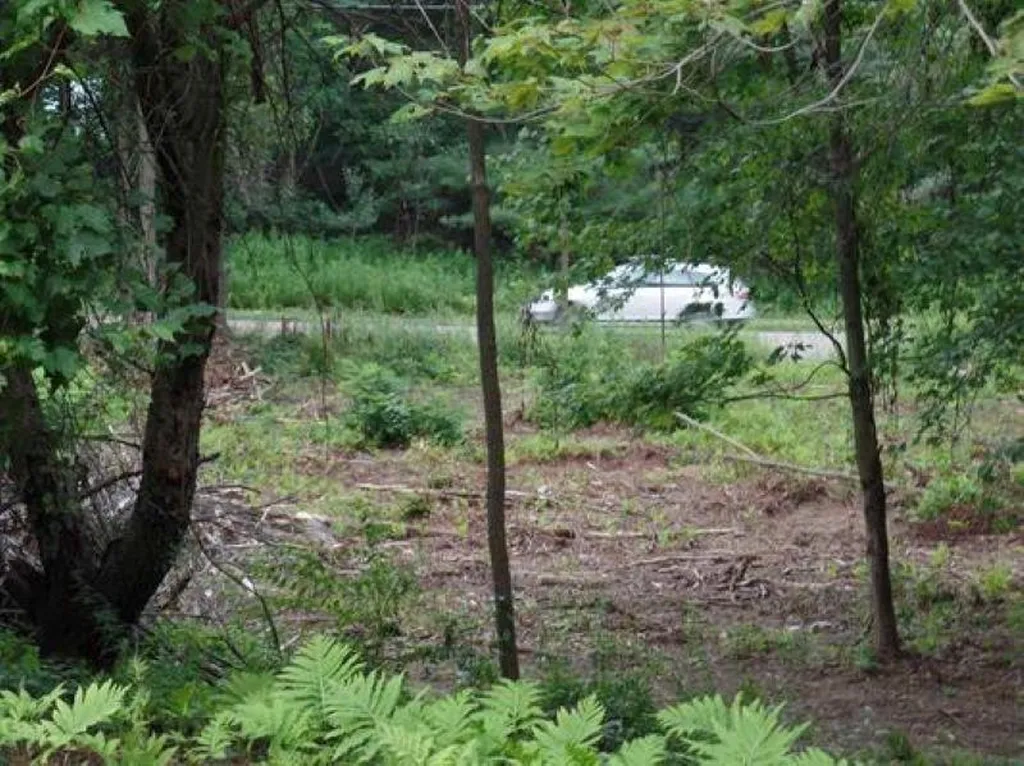 1100 Us Route 2 Middlesex VT 05602