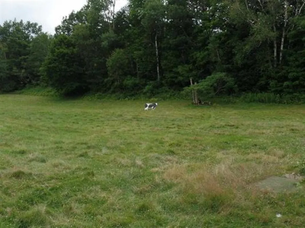 1100 Us Route 2 Middlesex VT 05602