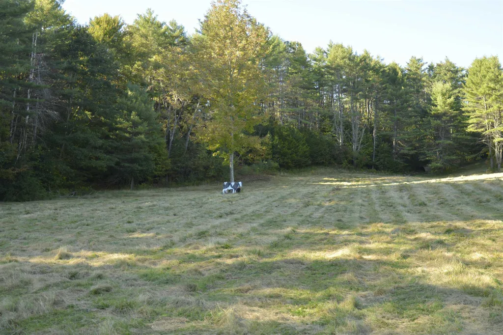 1100 Us Route 2 Middlesex VT 05602