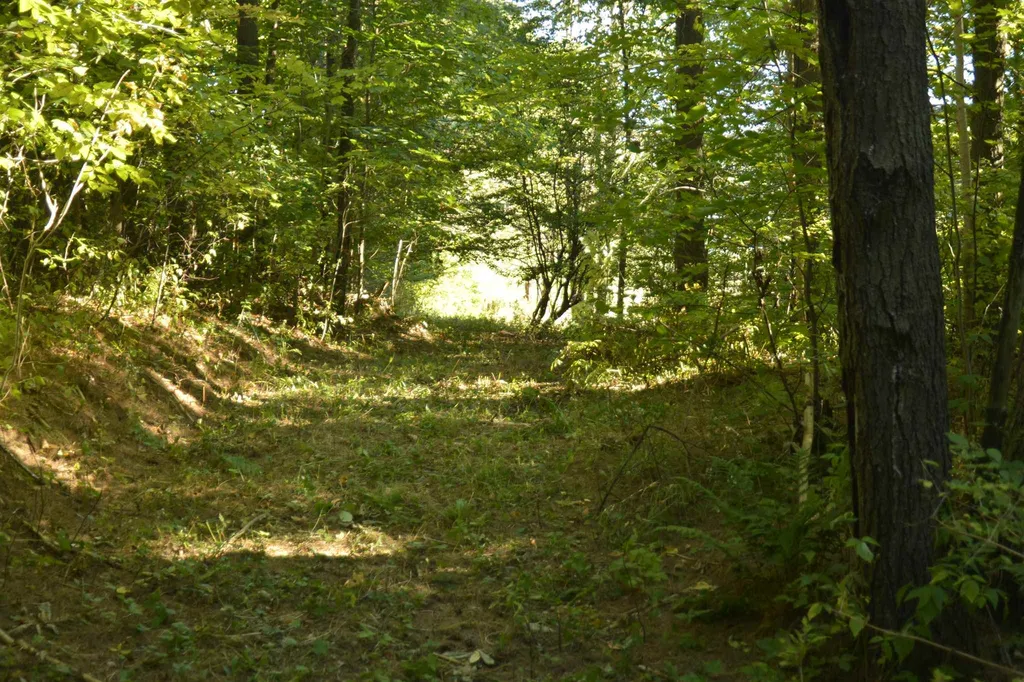 1100 Us Route 2 Middlesex VT 05602