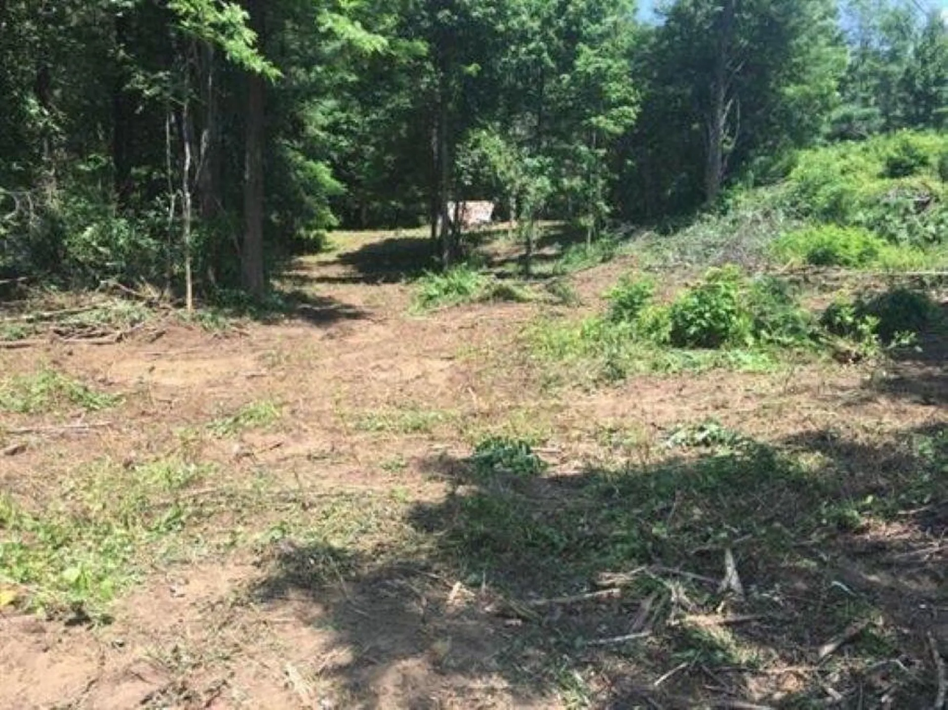 1100 Us Route 2 Middlesex VT 05602