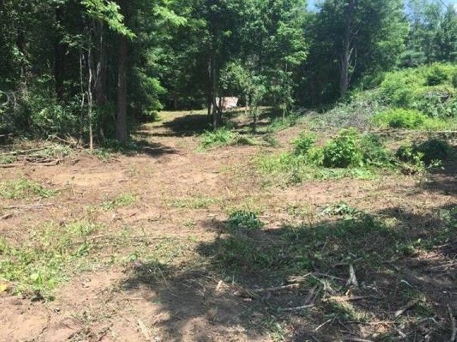 1100 Us Route 2 Middlesex VT 05602