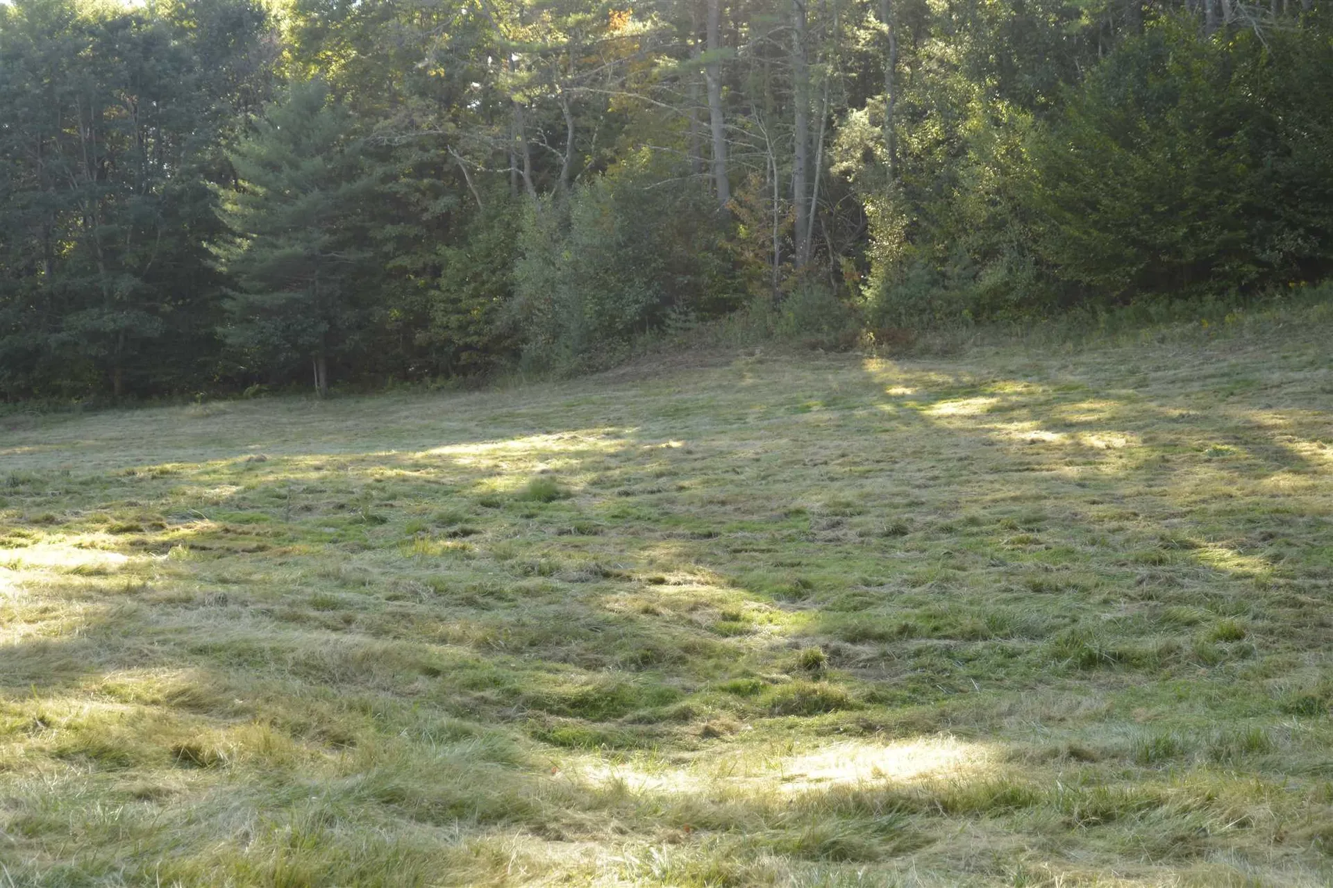 1100 Us Route 2 Middlesex VT 05602