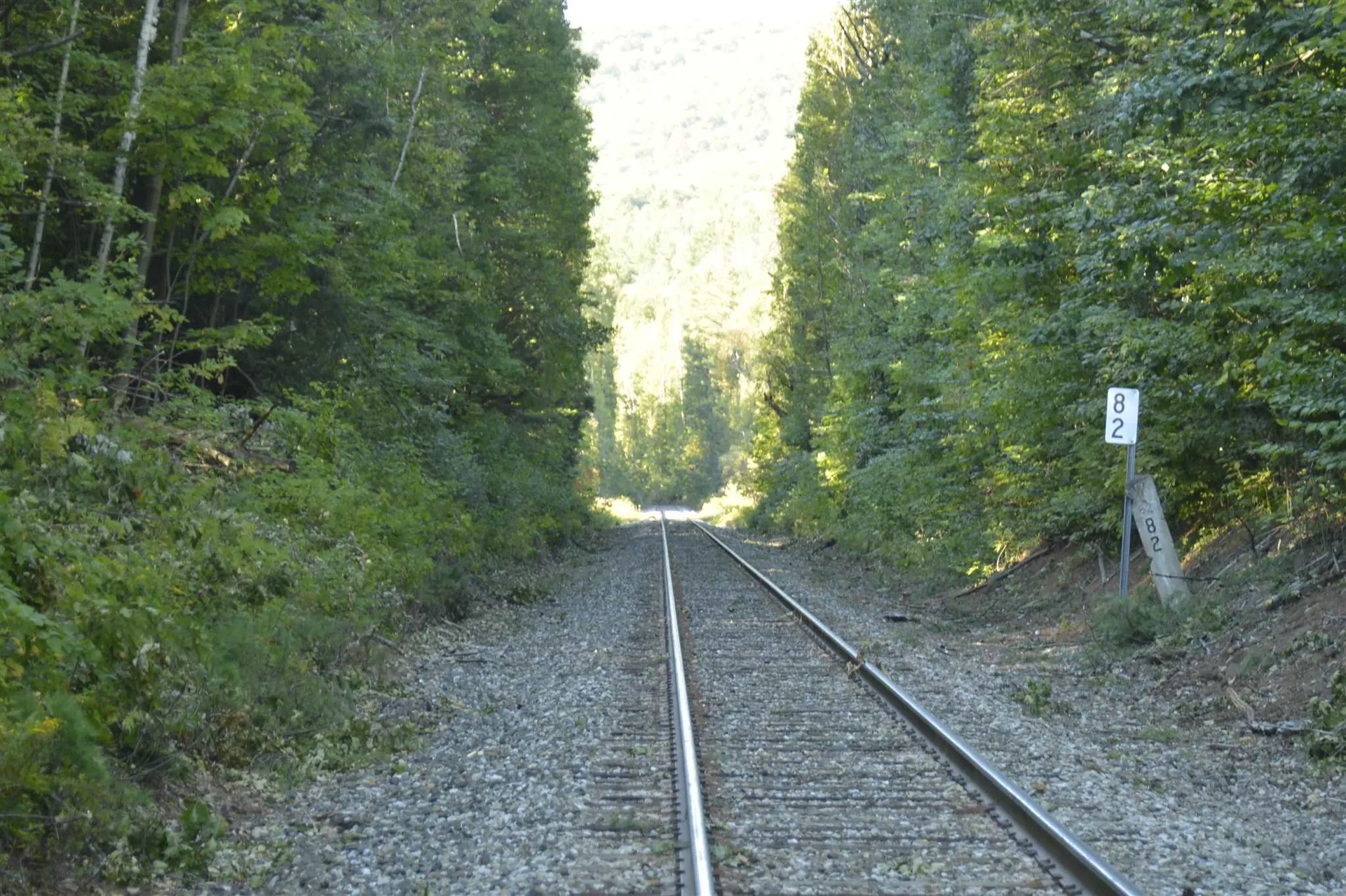 1100 Us Route 2 Middlesex VT 05602
