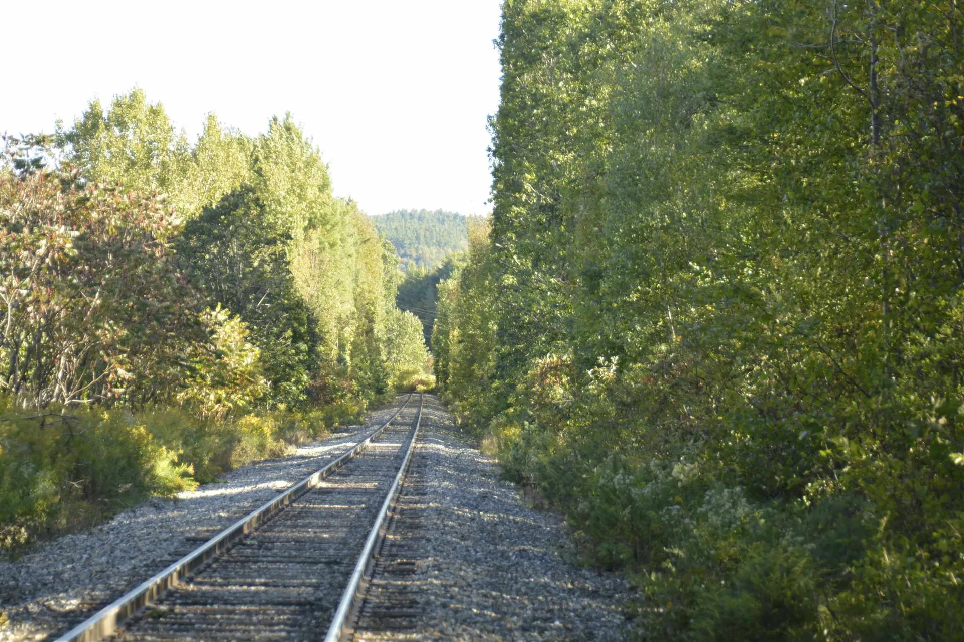 1100 Us Route 2 Middlesex VT 05602