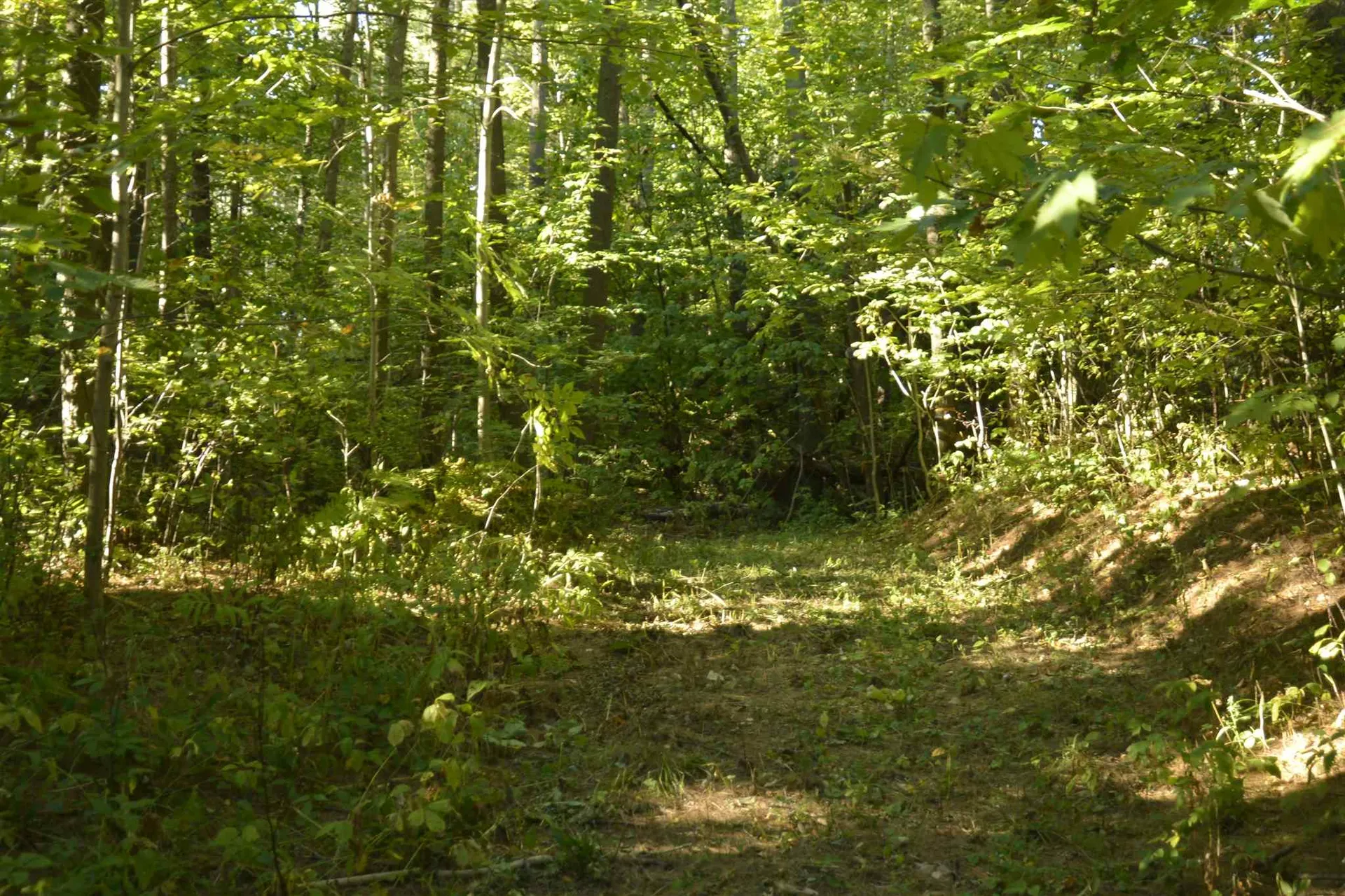 1100 Us Route 2 Middlesex VT 05602