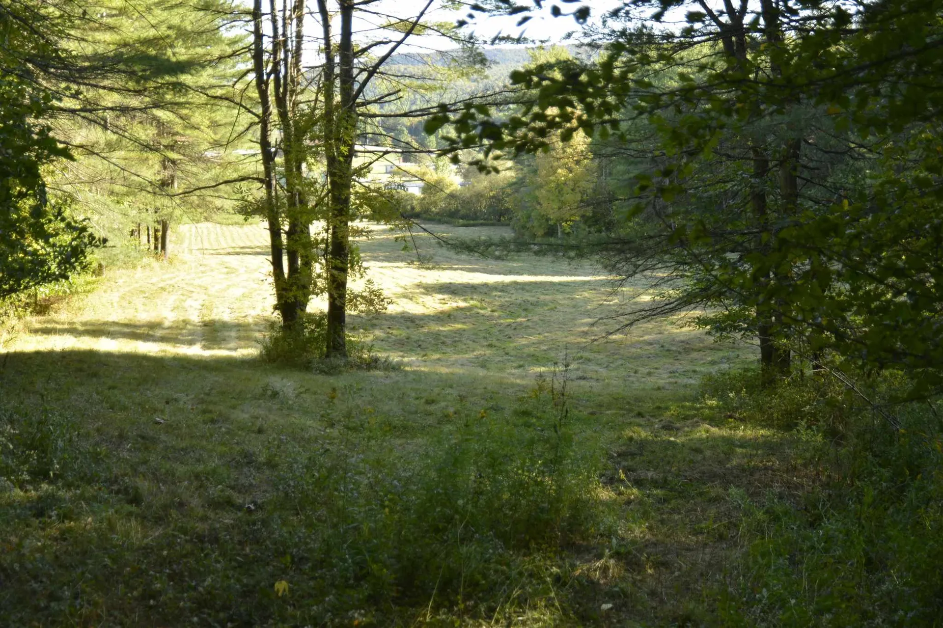 1100 Us Route 2 Middlesex VT 05602