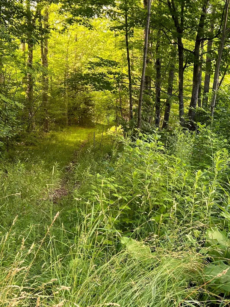 39 Cross Road Lebanon NH 03766
