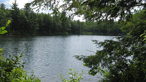 Lot 92 Bear Pond Road Alton NH 03809
