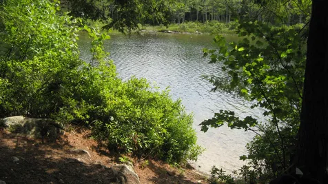 Lot 92 Bear Pond Road Alton NH 03809
